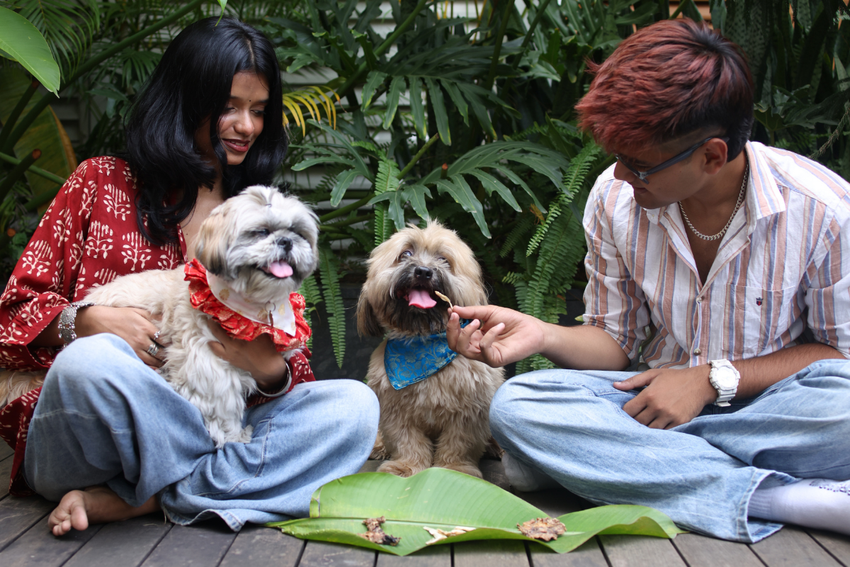 Two people sitting on the ground with two small dogs in an outdoor setting.