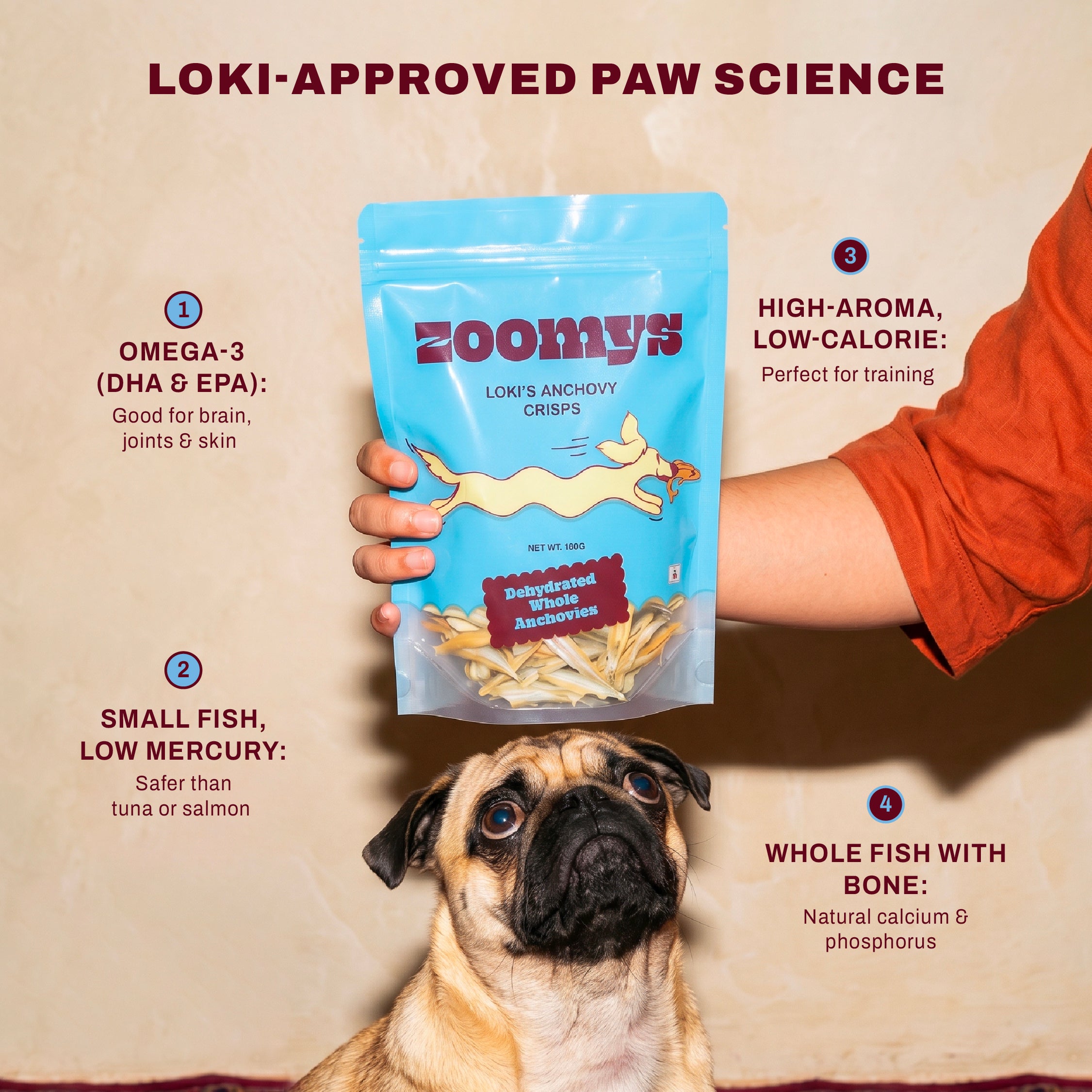 Loki’s Anchovy Crisps