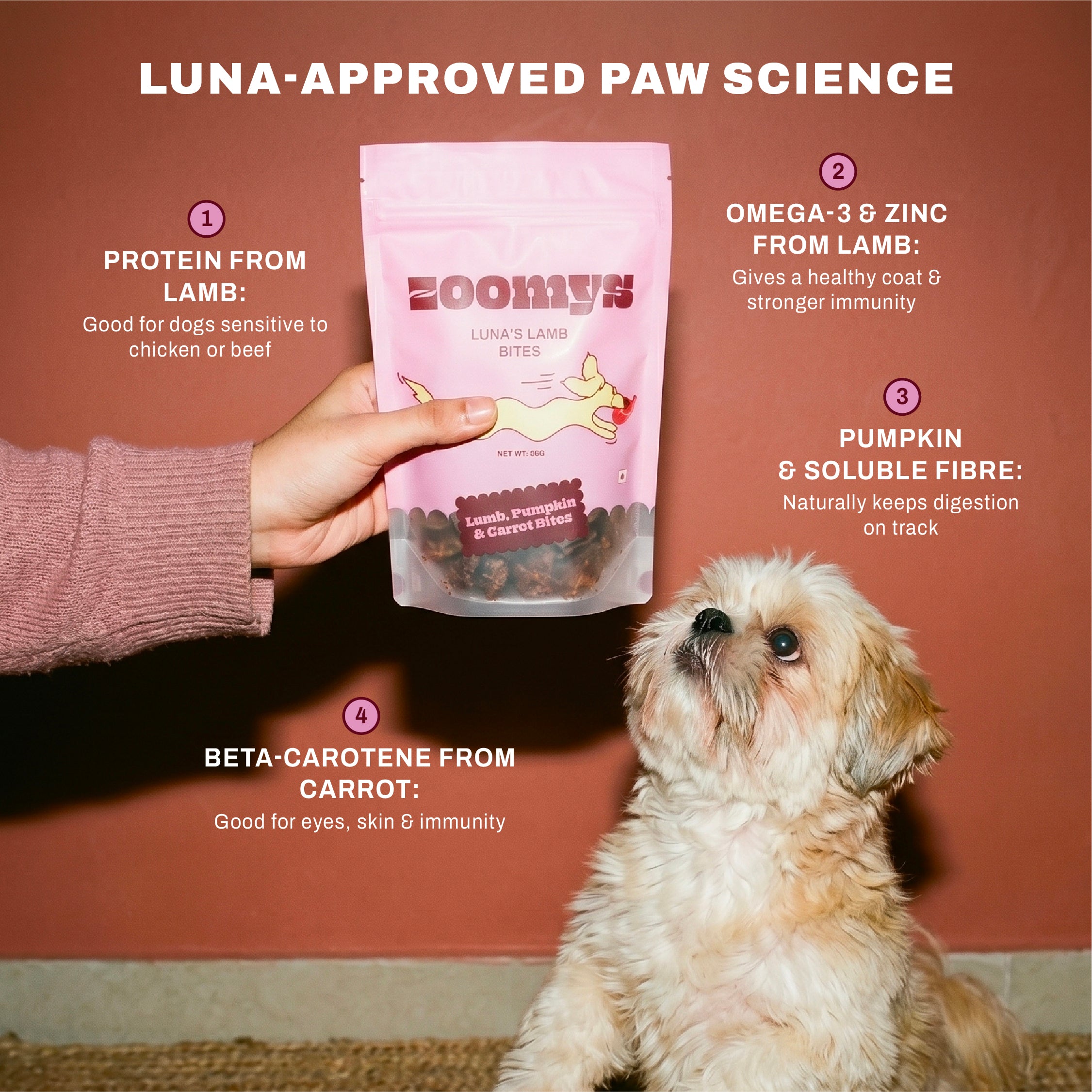 Luna’s Lamb bites