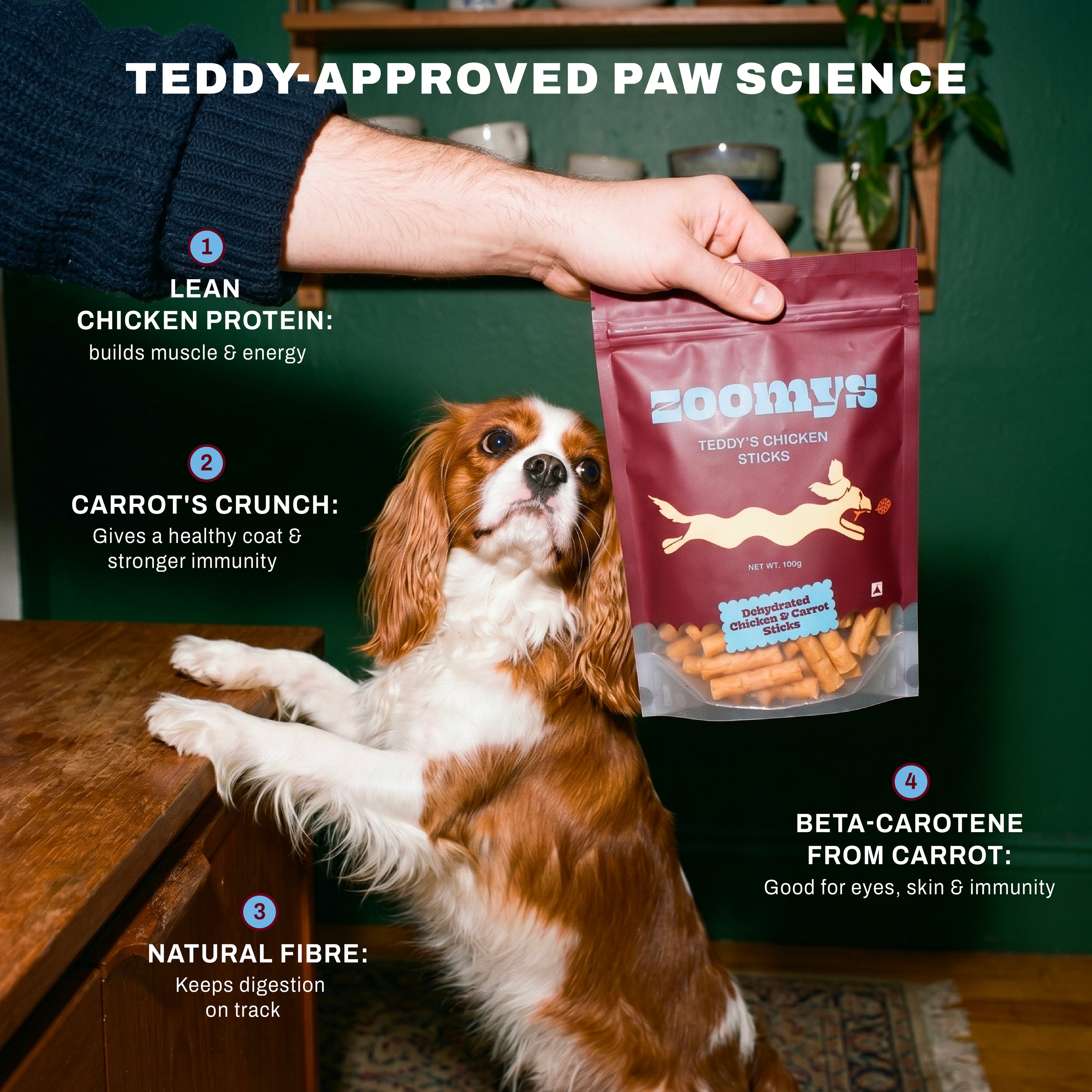 Teddy's Chicken Sticks